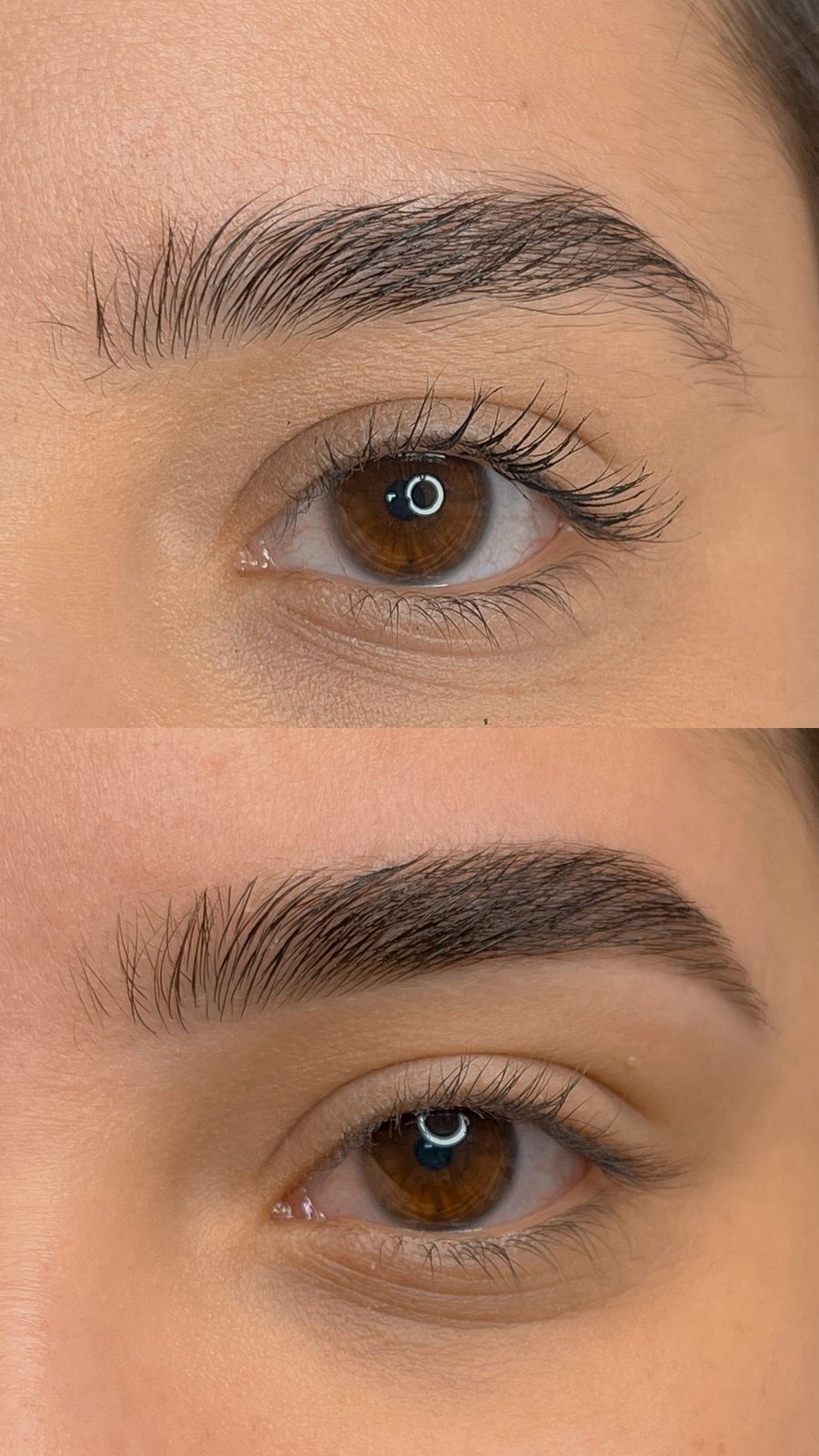 Design + Coloração